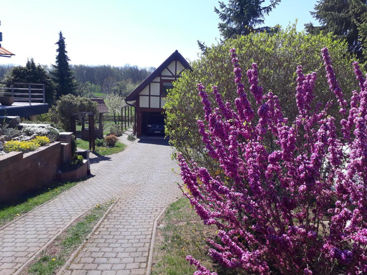 Ferienwohnung Zur Saaleaue Wettin Exterior photo