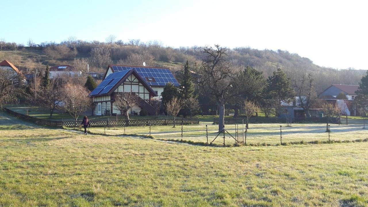 Ferienwohnung Zur Saaleaue Wettin Exterior photo