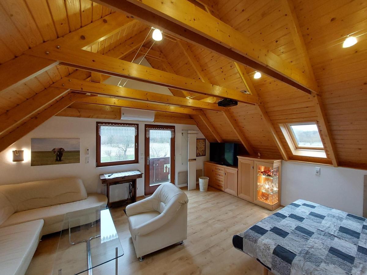 Ferienwohnung Zur Saaleaue Wettin Exterior photo