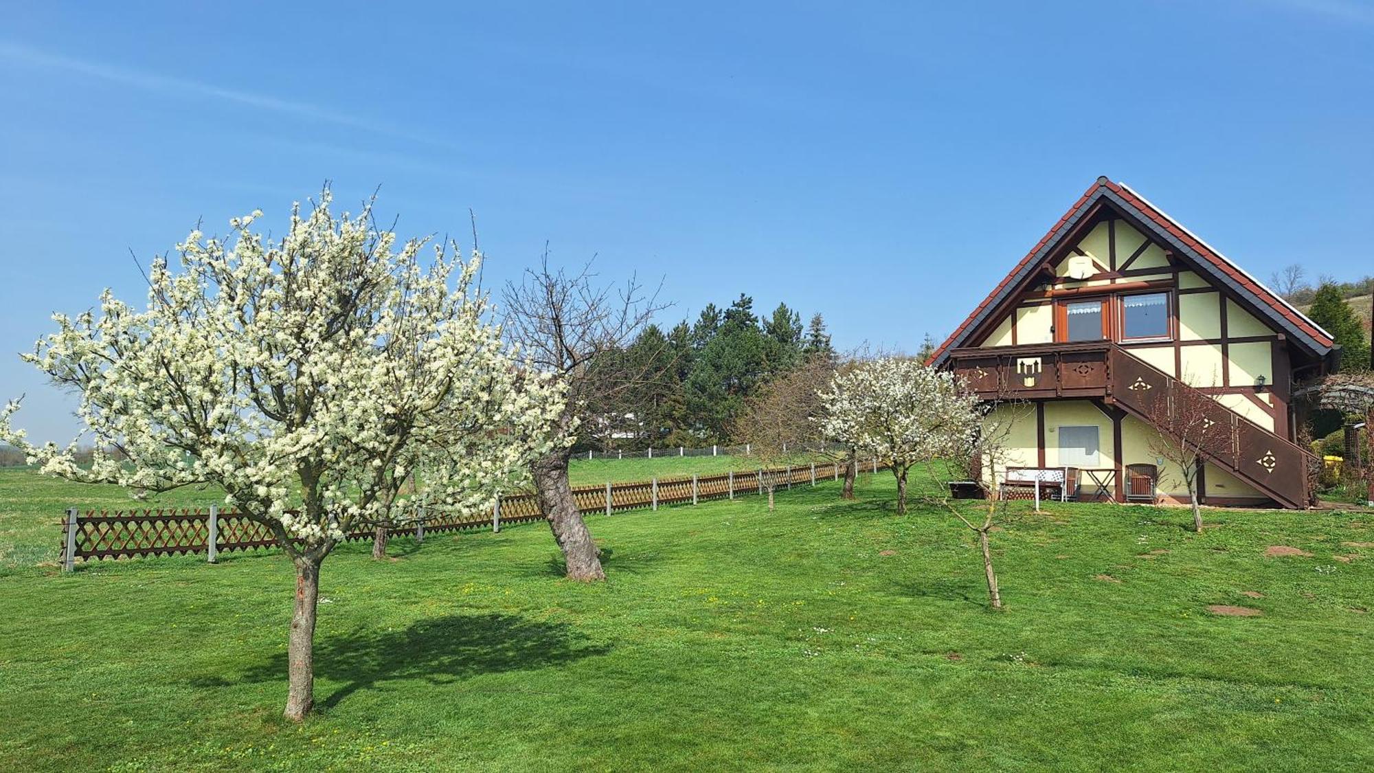 Ferienwohnung Zur Saaleaue Wettin Exterior photo
